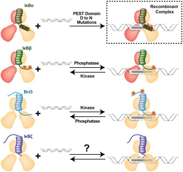 Figure 12.