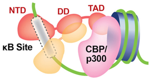 Figure 13.