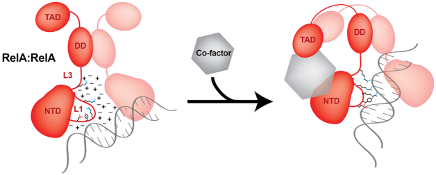 Figure 9.