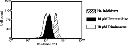 FIG. 5.