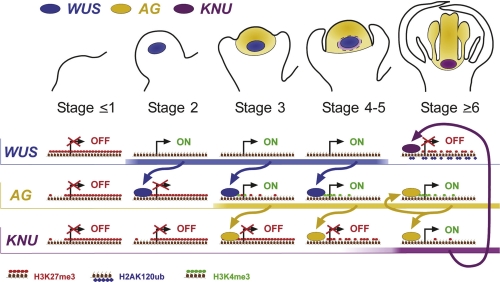 Figure 3.