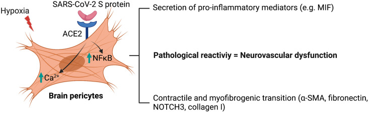 Fig. 12