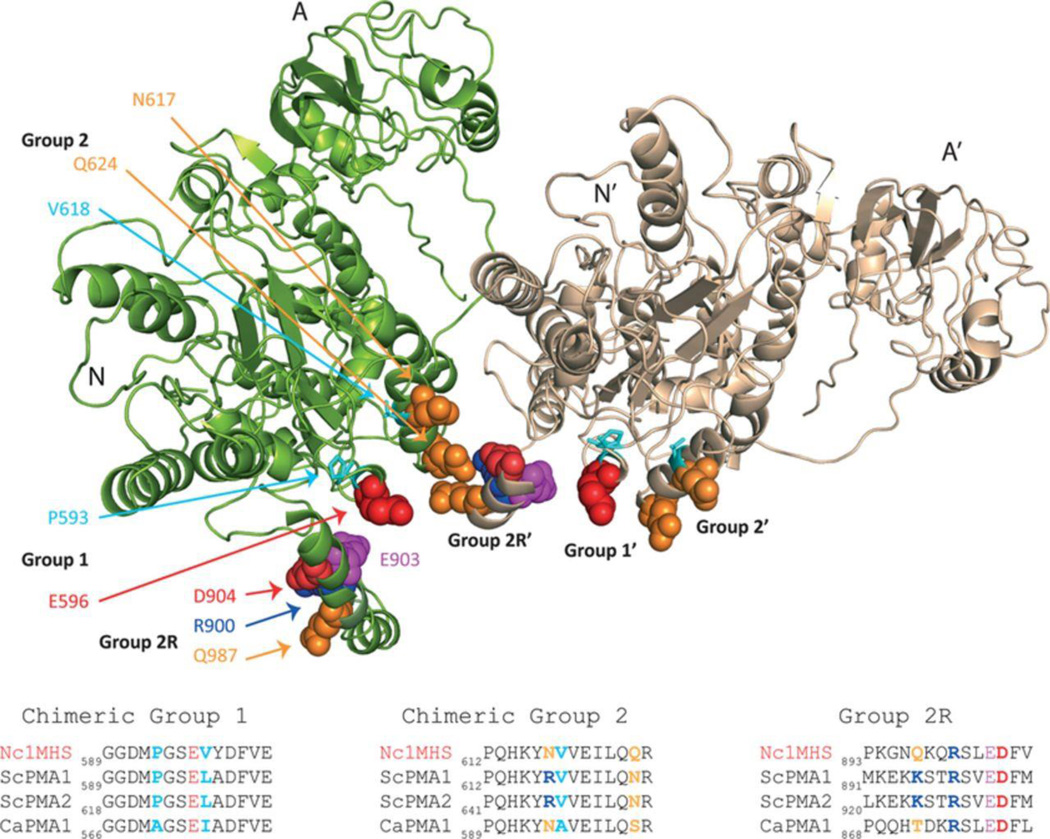 Figure 6