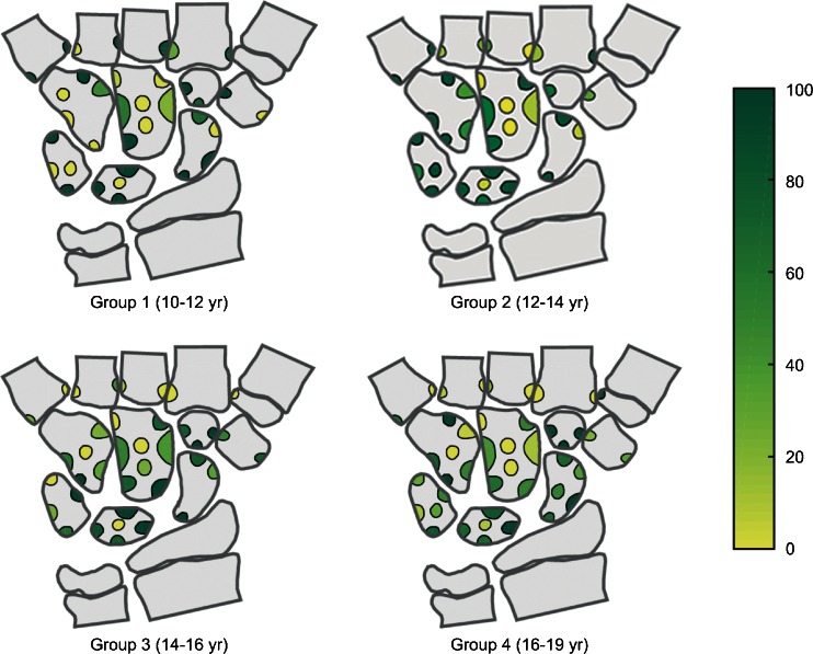 Fig. 5