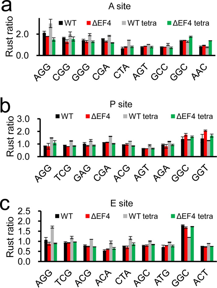 FIG 4