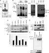 Fig 5