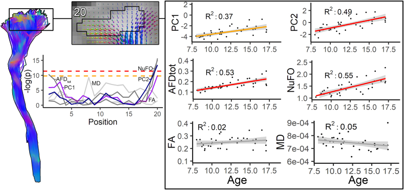 Fig. 7