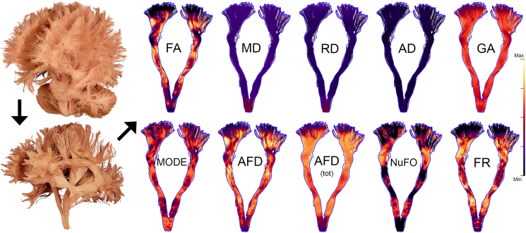 Fig. 2