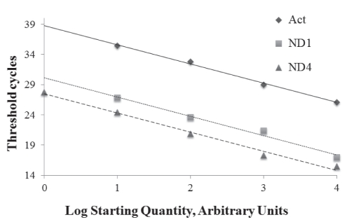 Figure 2)