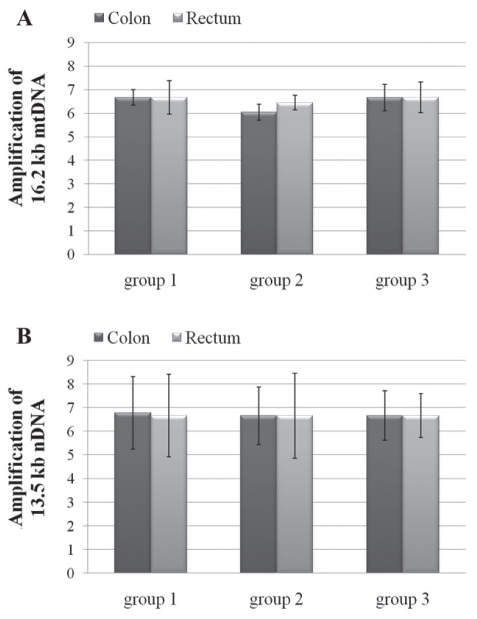 Figure 3)