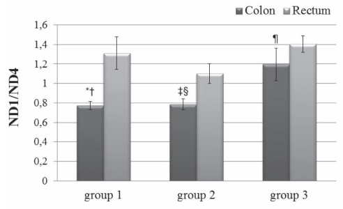 Figure 5)