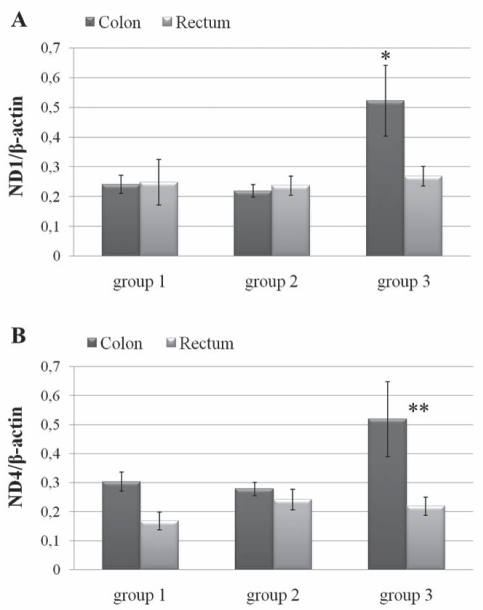 Figure 4)