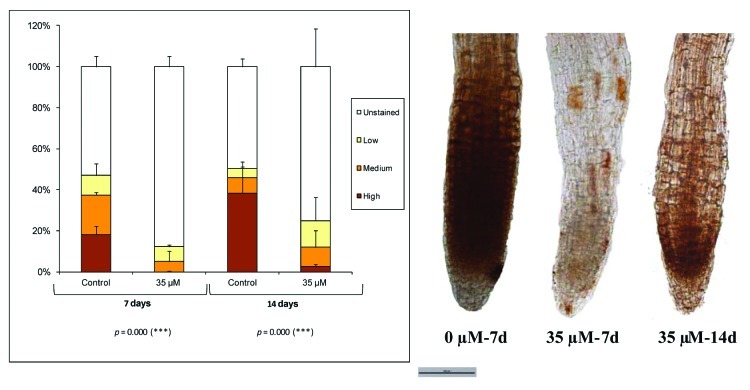 Figure 2. 