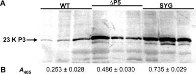 FIG. 6.