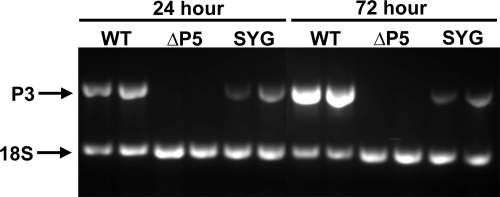 FIG. 9.