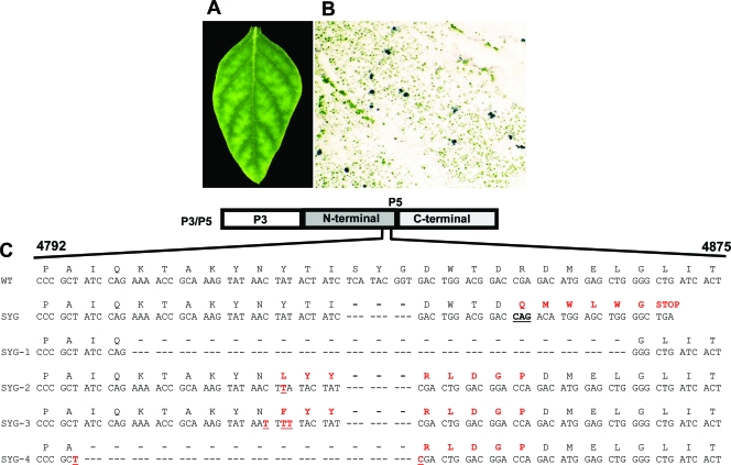 FIG. 8.