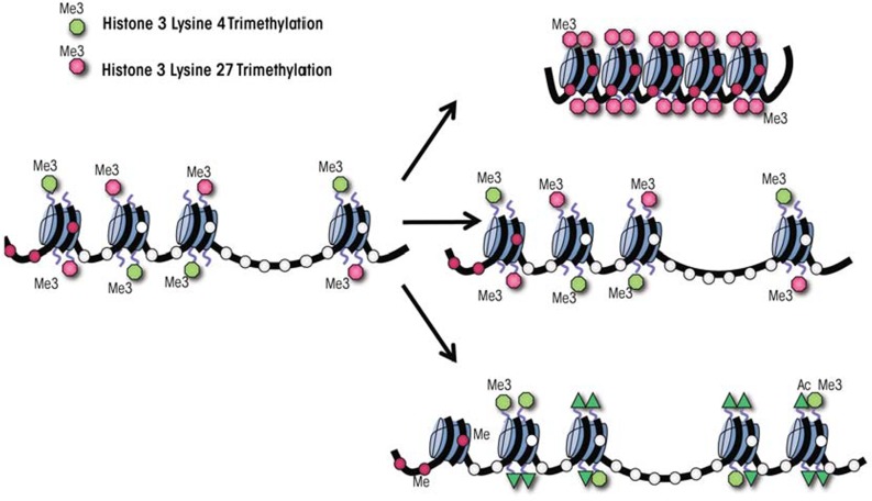 Figure 1A