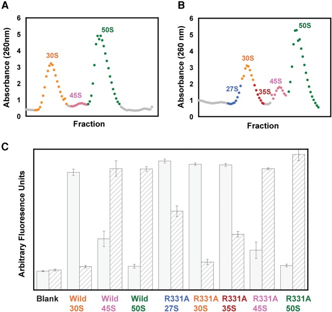 FIGURE 1.