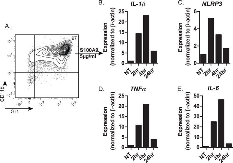 Figure 7