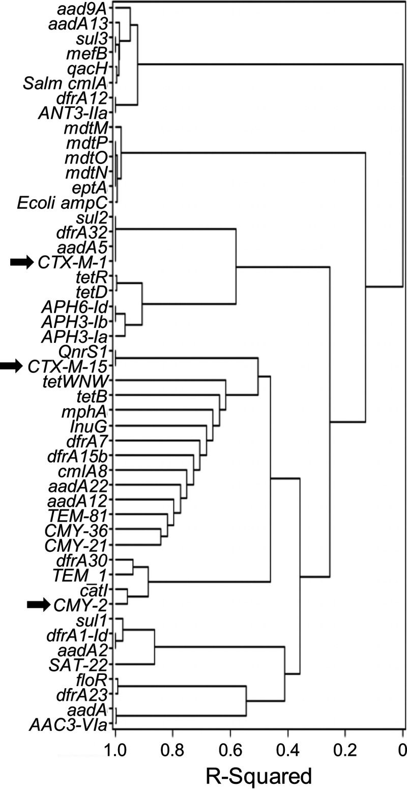 FIG 3