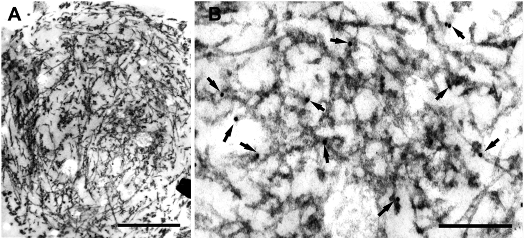 Fig. 10