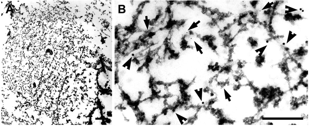 Fig. 9