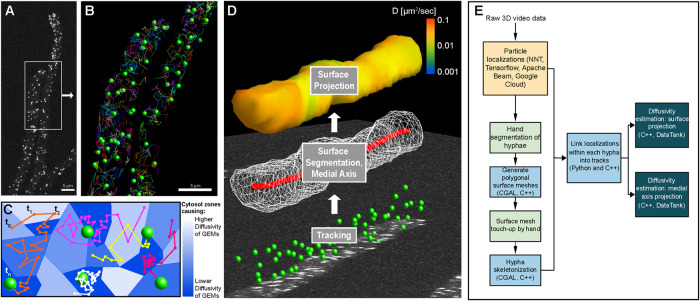 FIGURE 2: