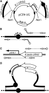 F<sc>igure</sc> 1.—