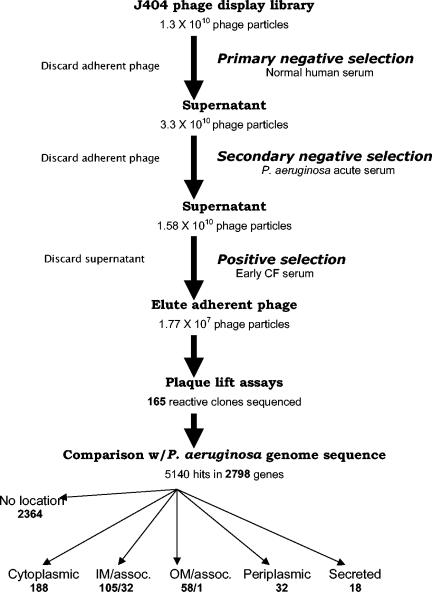 FIG. 1.