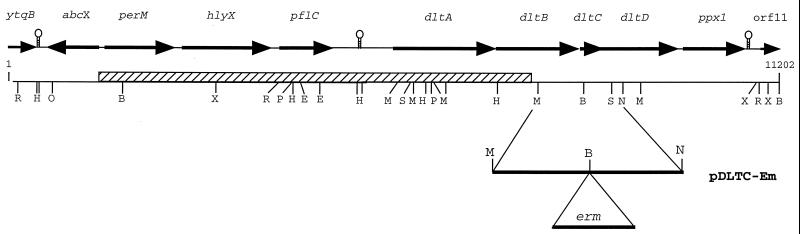 FIG. 3