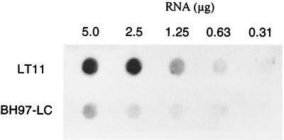 FIG. 8