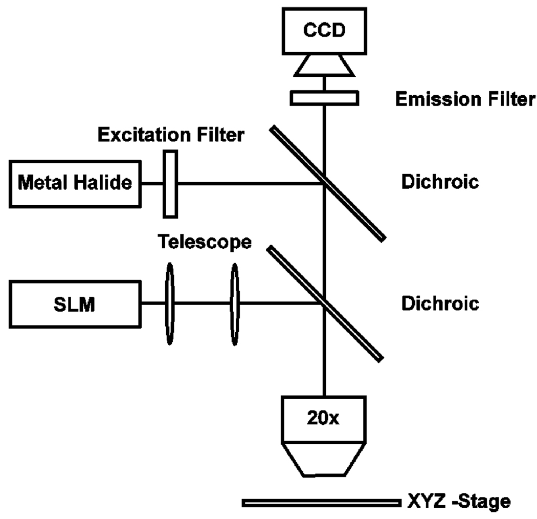 Fig. 2