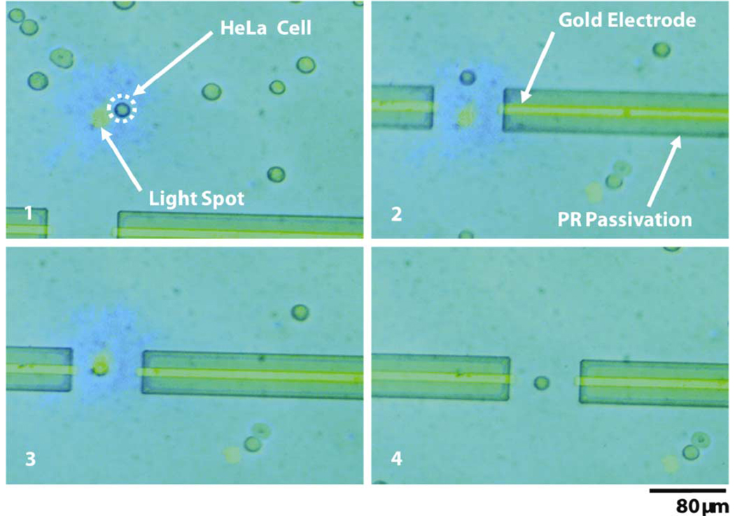 Fig. 4