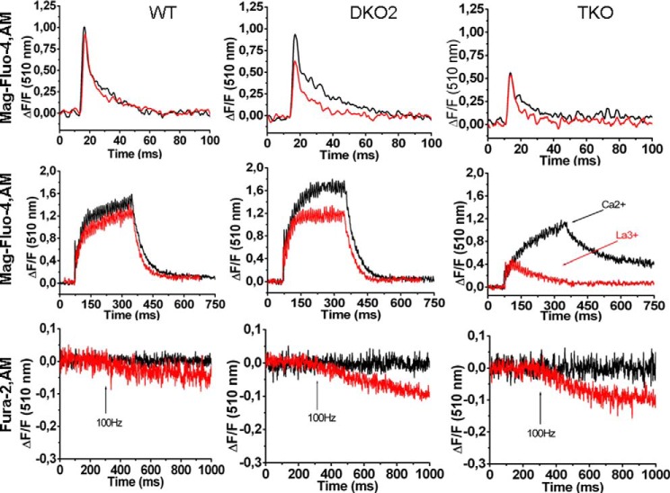 FIGURE 4.