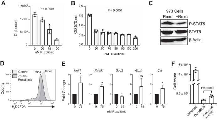 FIG 6