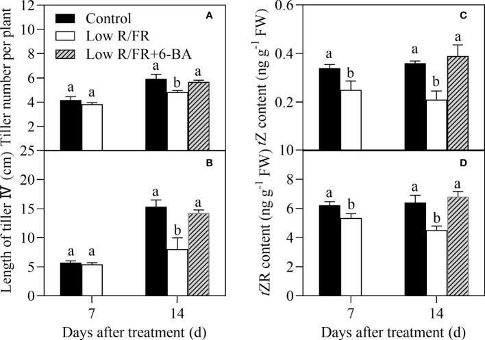 Figure 7