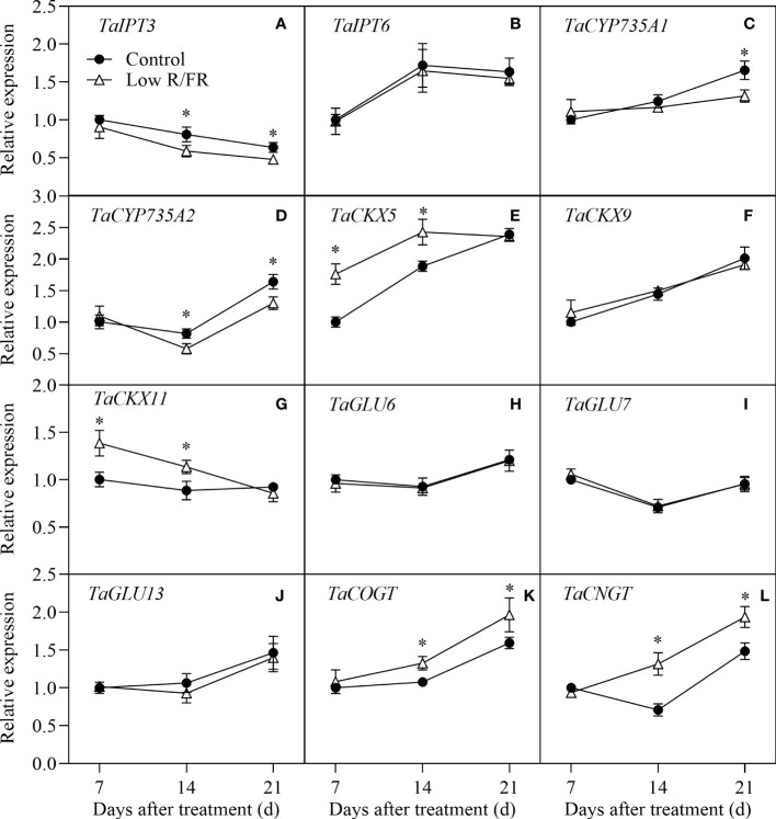 Figure 6