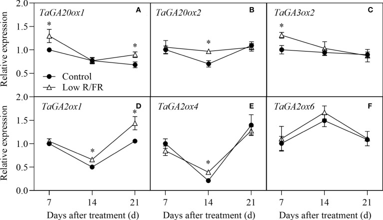 Figure 5