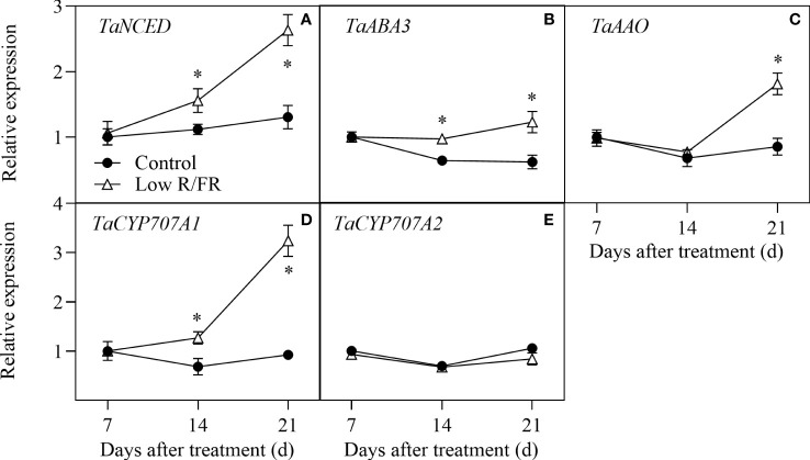 Figure 3