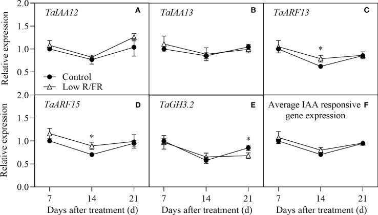 Figure 4