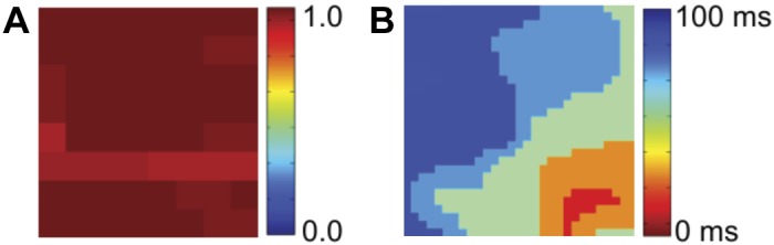 Fig. 7.