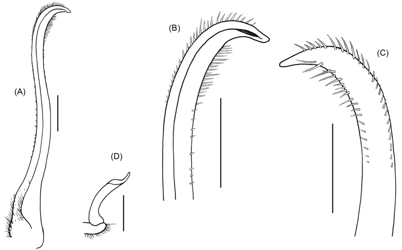 Fig. 13.