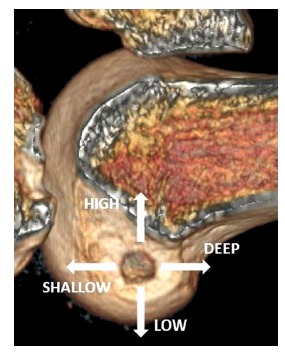 Fig. (5)