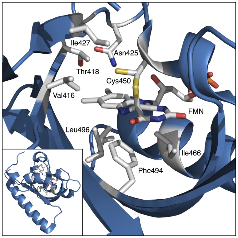 Figure 4