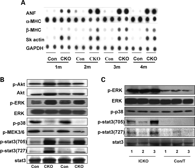 Figure 7.