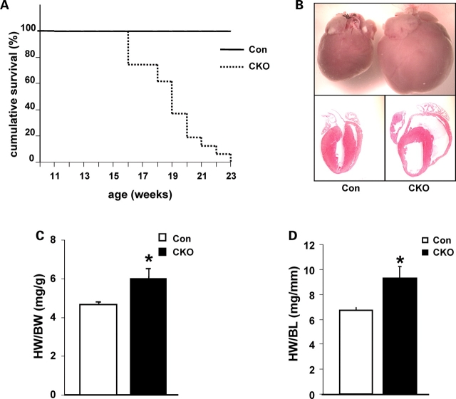 Figure 2.