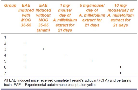 graphic file with name IJPharm-46-303-g001.jpg