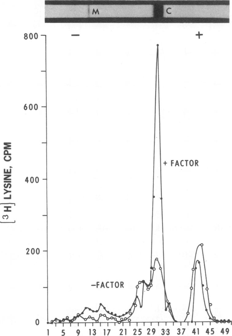 graphic file with name pnas00064-0040-a.jpg