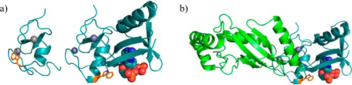 FIGURE 4.