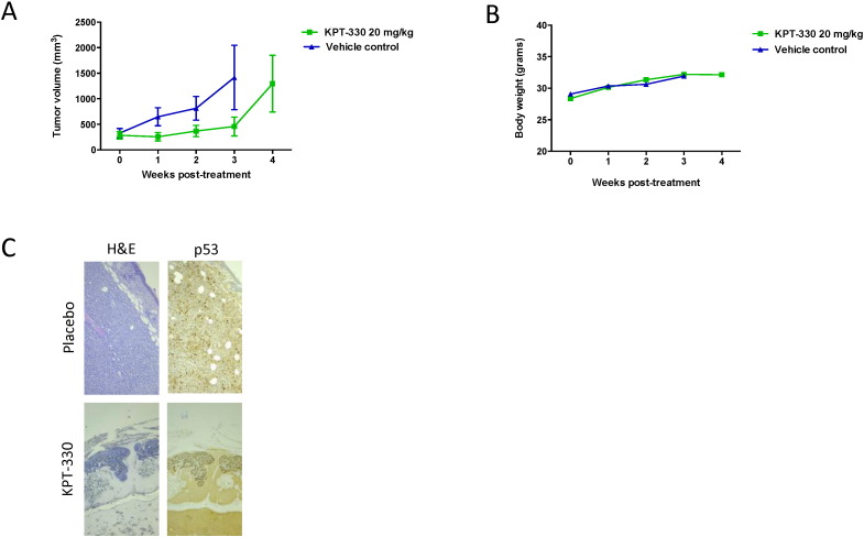 Fig. 6